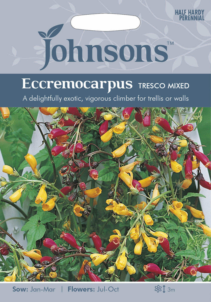 Johnsons ECCREMOCARPUS Tresco (chilean glory flower) Mixed Seeds - LGC