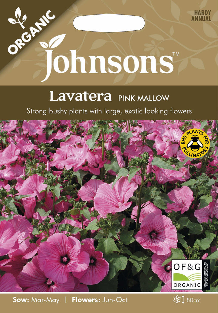 Johnsons LAVATERA Pink Mallow (ORGANIC SEED) - LGC