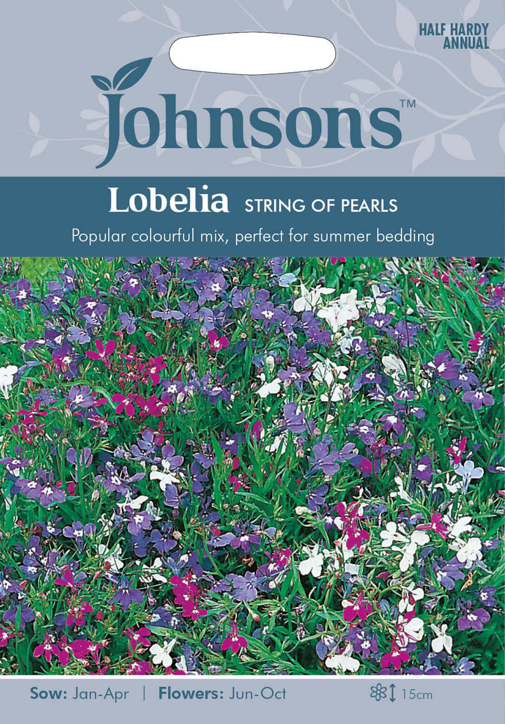 Johnsons LOBELIA String of Pearls Seeds - LGC