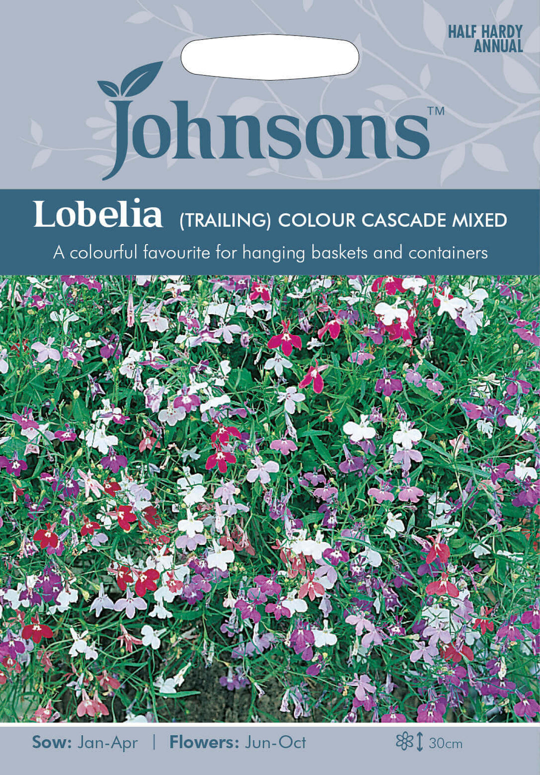 Johnsons LOBELIA (Trailing) Colour Cascade Mixed Seeds - LGC