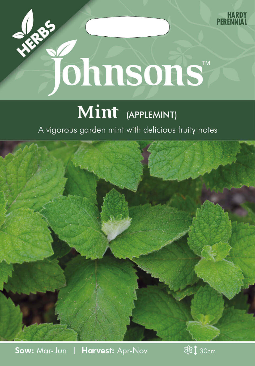 Johnsons MINT Applemint Seeds - LGC
