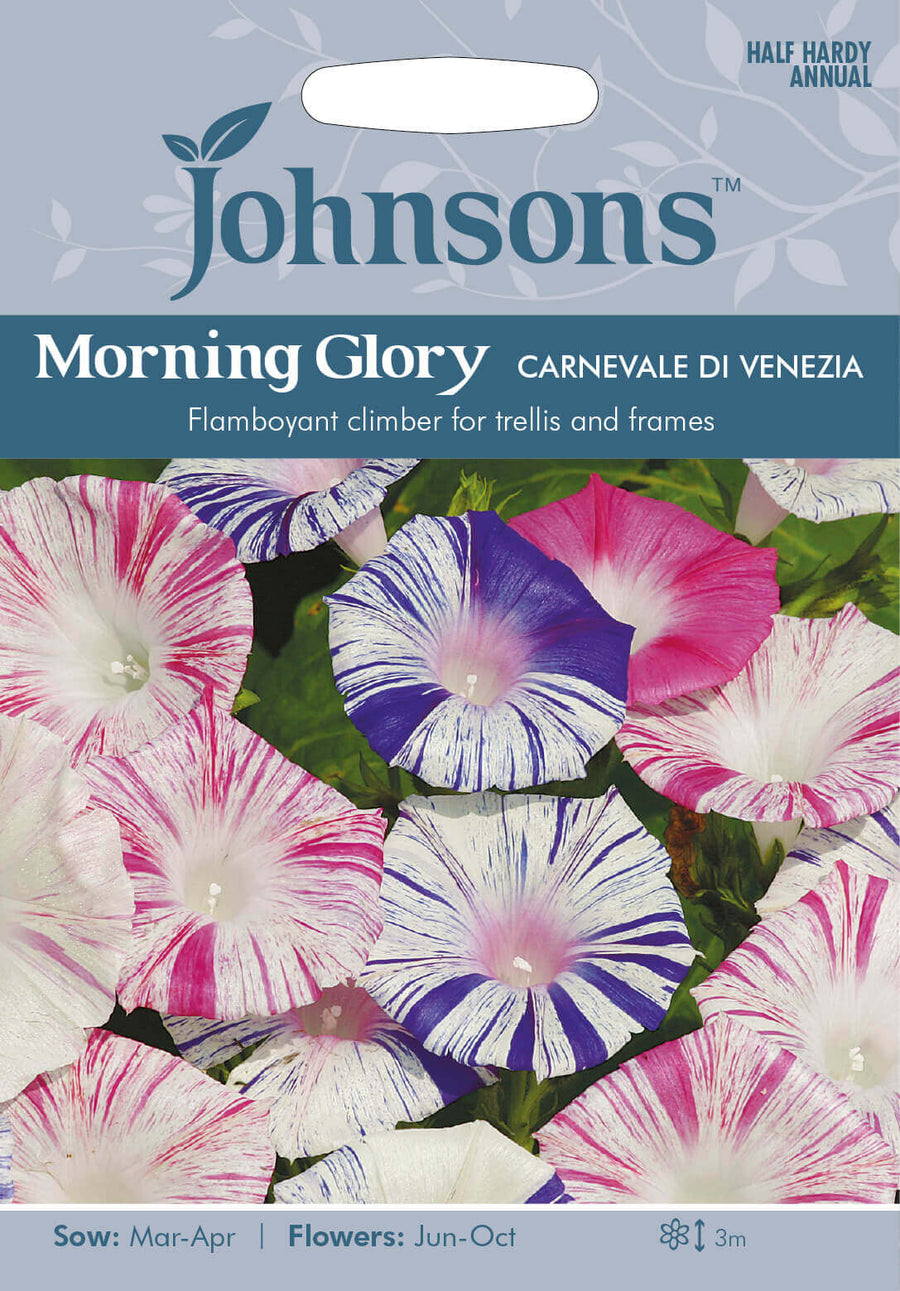 Johnsons MORNING GLORY Carnevale di Venezia Seeds - LGC