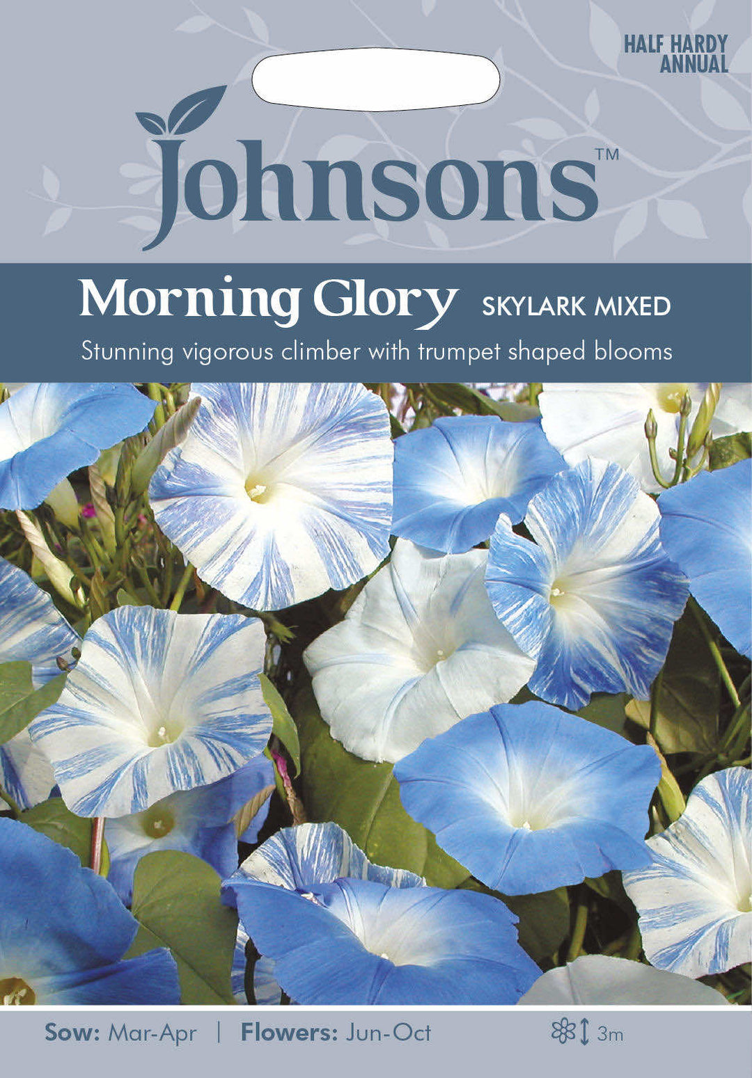 Johnsons MORNING GLORY Skylark Mixed Seeds - LGC