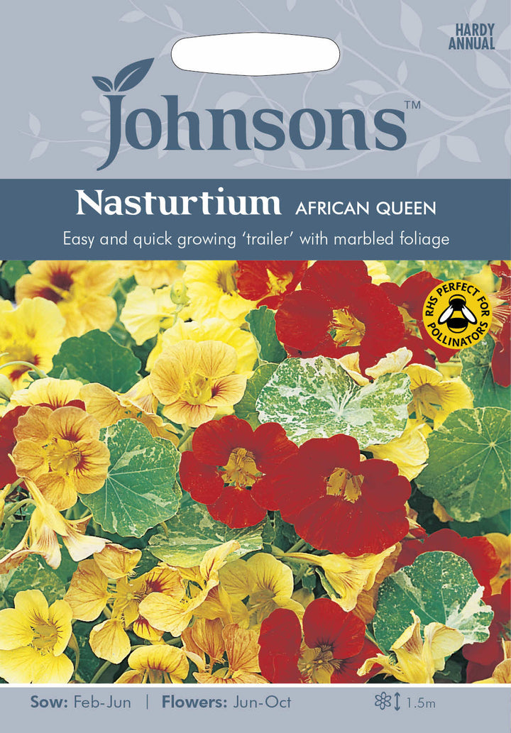 Johnsons NASTURTIUM African Queen - LGC