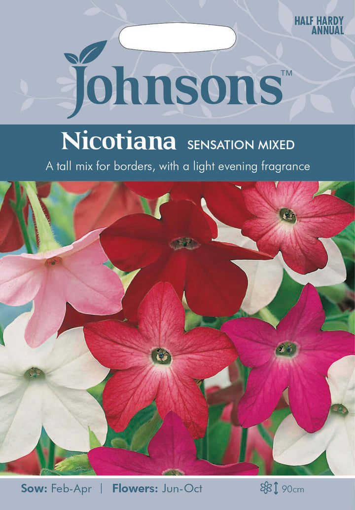 Johnsons NICOTIANA Sensation Mixed (Tobacco) Seeds - LGC