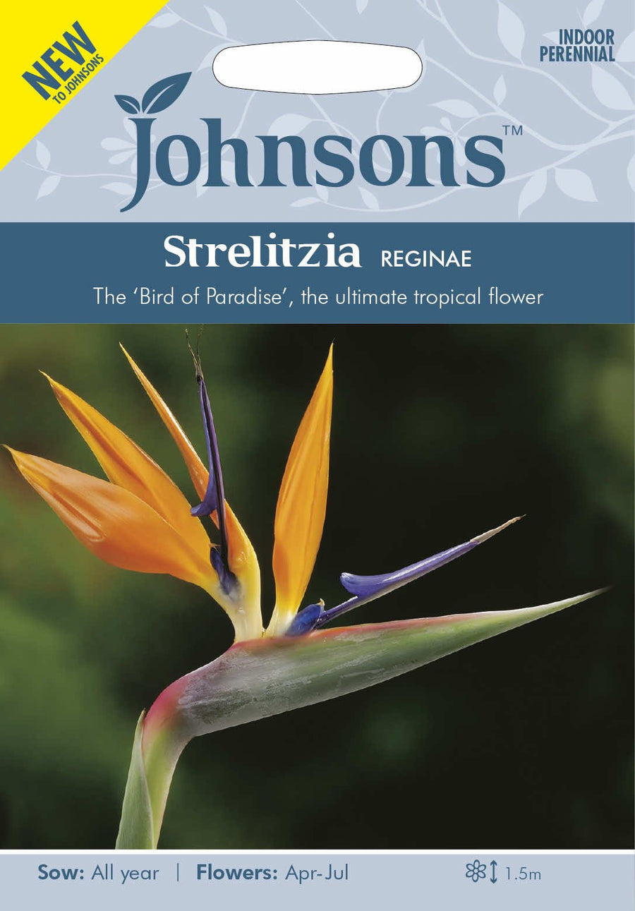 Johnsons STRELITZIA reginae - LGC
