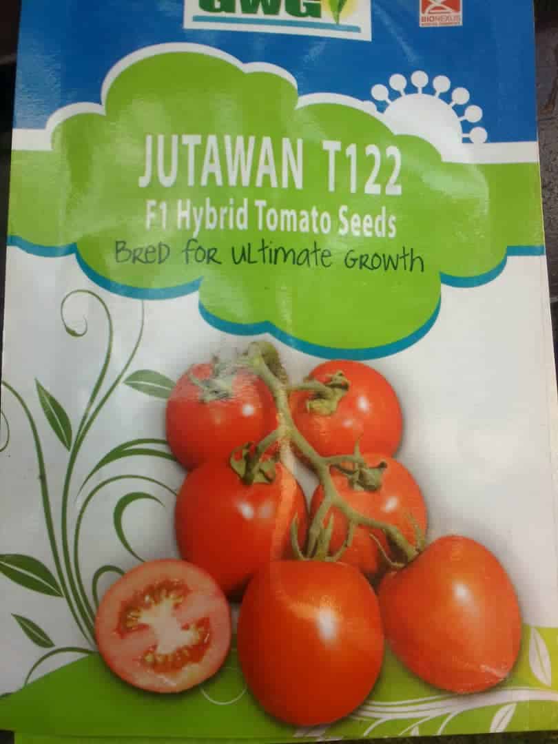 Jutawan F1 Hybrid Tomato - LGC