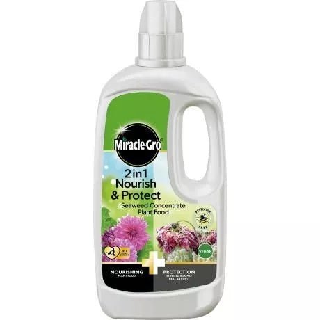 Miracle-Gro 2 in 1 Nourish & Protect Seaweed Concentrate Plant Food - LGC