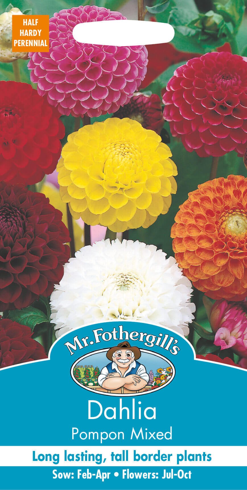 Mr Fothergill's DAHLIA Pompon Mixed Seeds - LGC