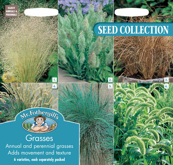 Mr Fothergill's GRASSES (COLLECTION PACK) Seeds - LGC