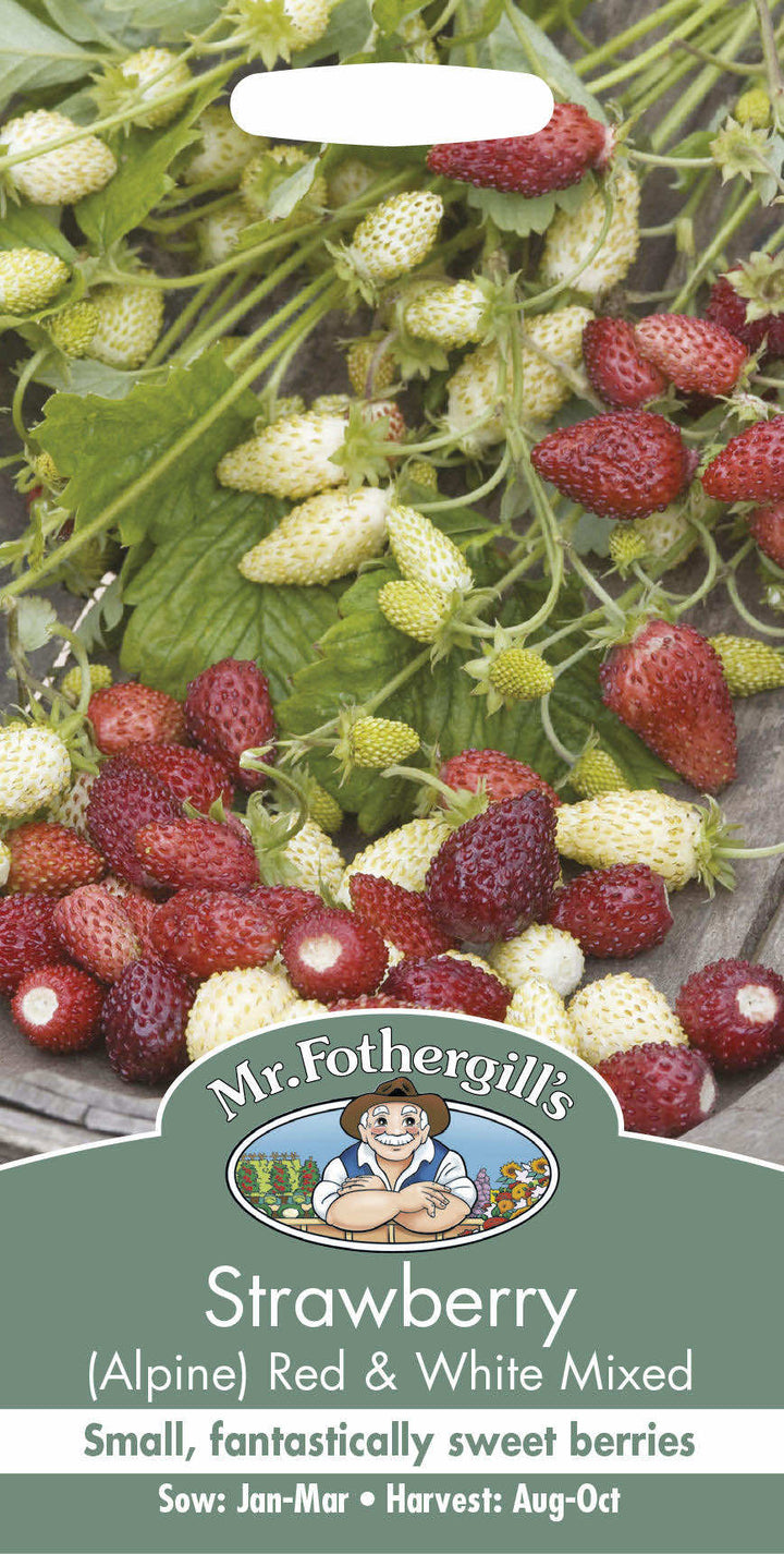Mr Fothergill's STRAWBERRY Red & White Mixed Seeds - LGC