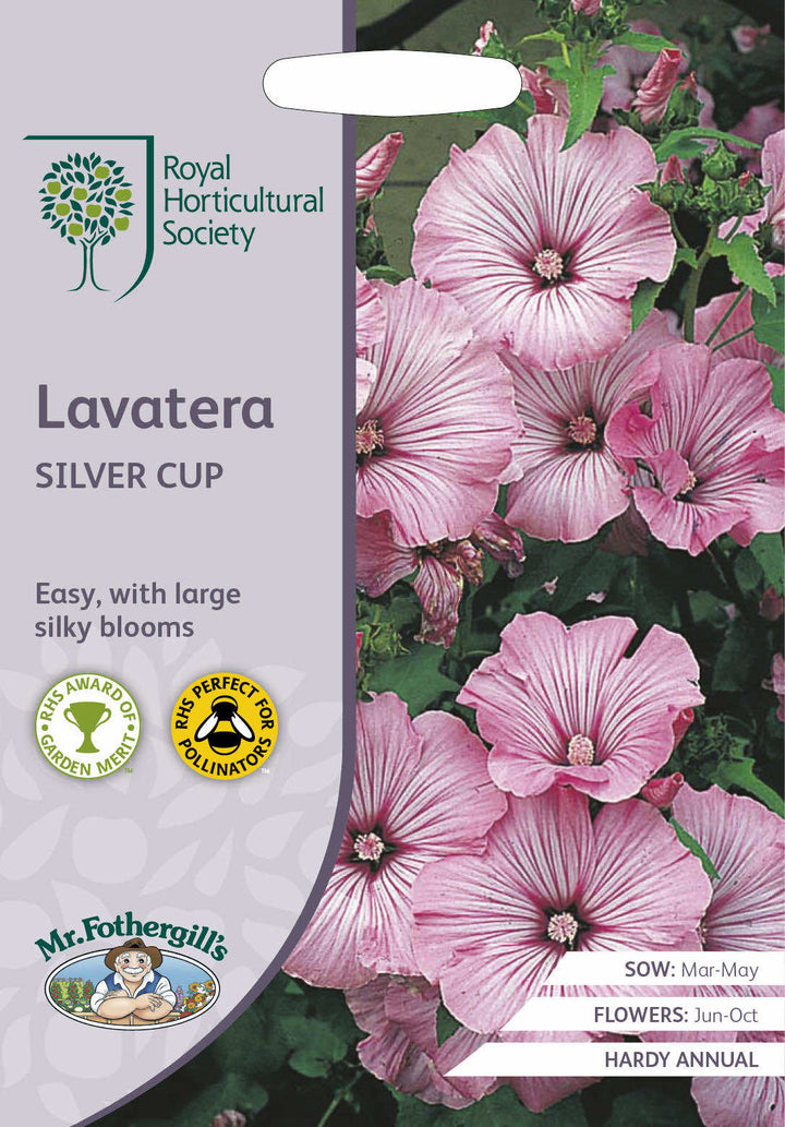 RHS LAVATERA Silver Cup Seeds - LGC