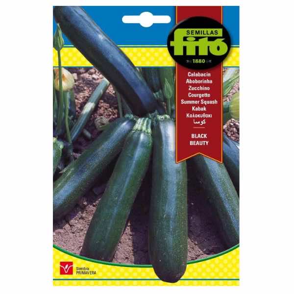 Semillas Fito Beauty Black Courgette Seeds - LGC