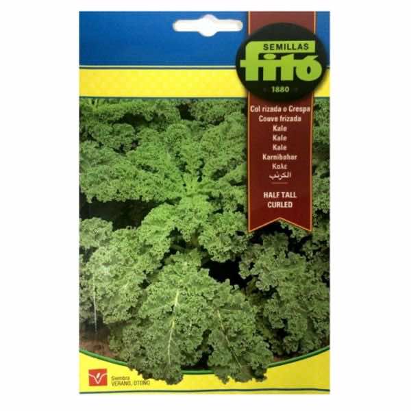 Semillas Fito Half Tall Curled Kale Seeds - LGC
