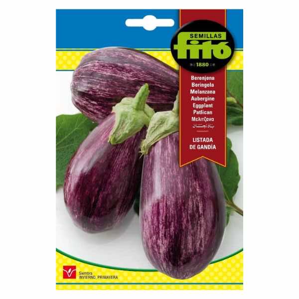 Semillas Fito Listada De Gandia Eggplant Seeds - LGC