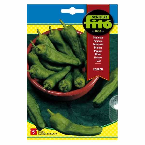 Semillas Fito Padron Pepper Seeds - LGC