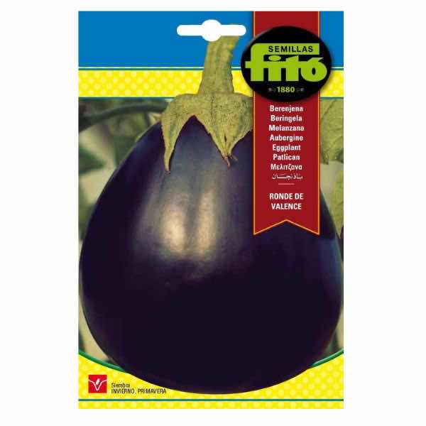 Semillas Fito Ronde De Valence Eggplant Seeds - LGC