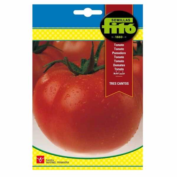 Semillas Fito Tries Cantos Tomato Seeds - LGC
