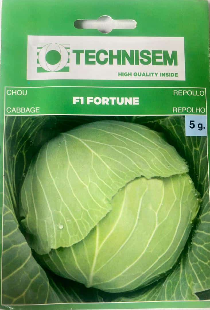 Technisem Cabbage F1 Fortune Seeds - LGC