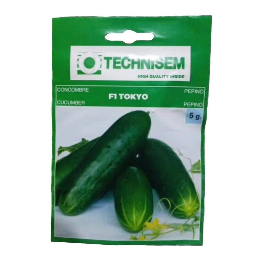 Technisem Cucumber Tokyo F1 Hybrid Seeds - LGC