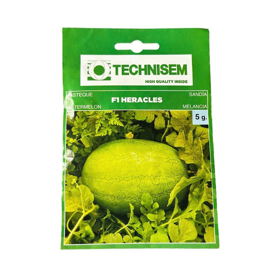 Technisem Watermelon F1 Heracles Seeds - LGC