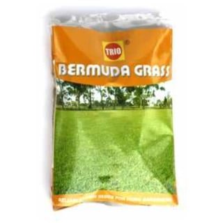 TRIO Bermuda Grass - LGC
