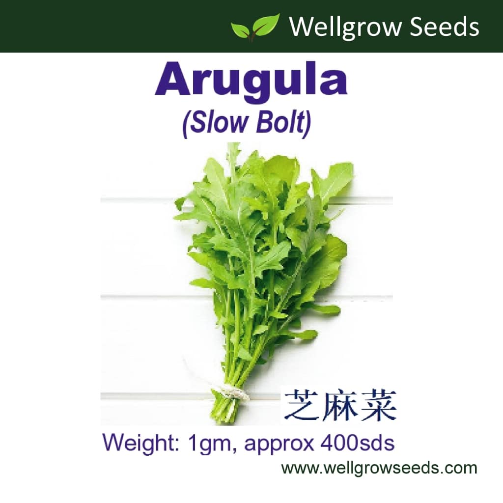 Wellgrow Arugula Seeds - LGC