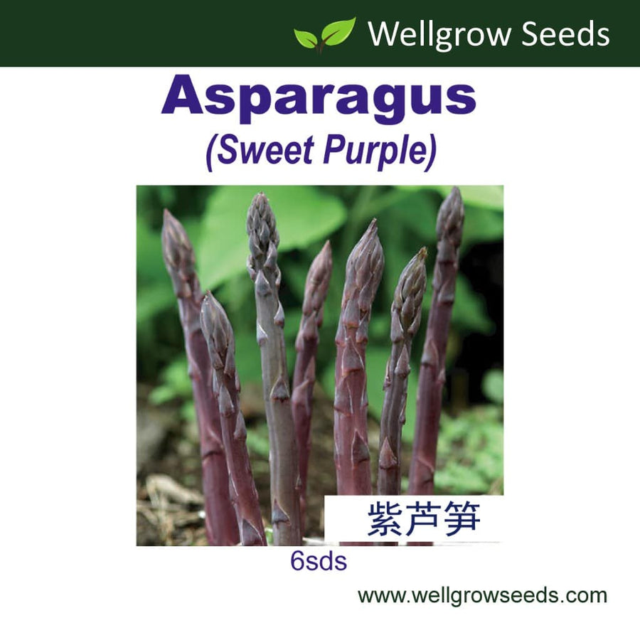 Wellgrow Asparagus Sweet Purple - LGC