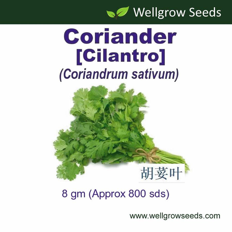 Wellgrow Coriander Cilantro Seeds - LGC