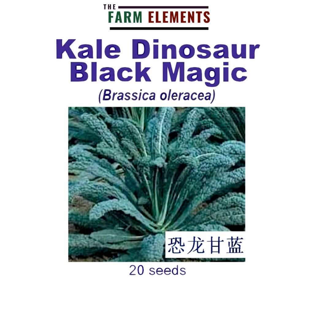 Wellgrow Kale Dinosaur Black Magic Seeds - LGC