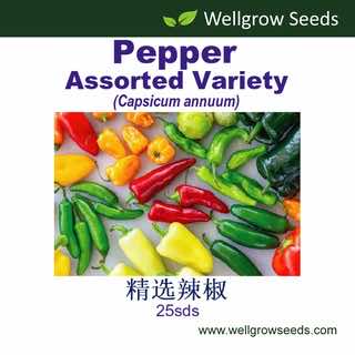 Wellgrow Pepper Assorted Variety Seeds - LGC
