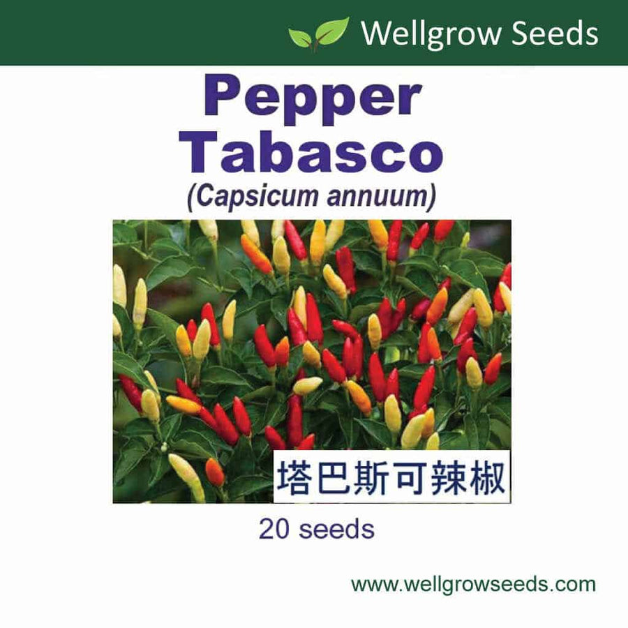 Wellgrow Pepper Tabasco Seeds - LGC