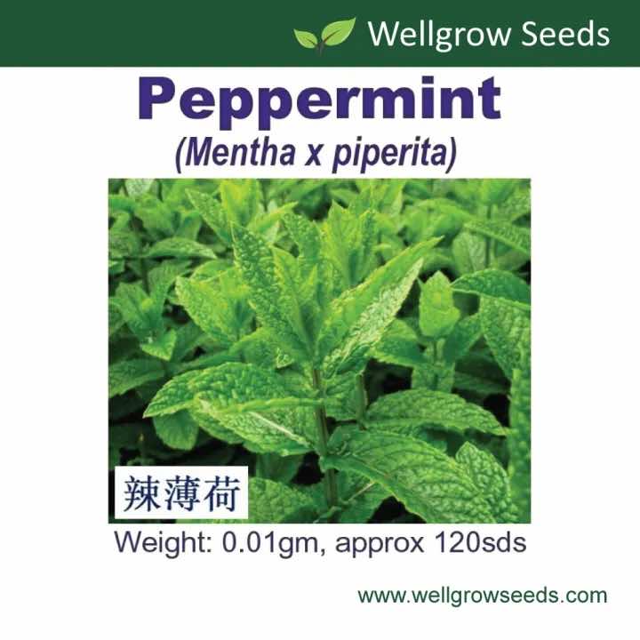 Wellgrow Peppermint Seeds - LGC