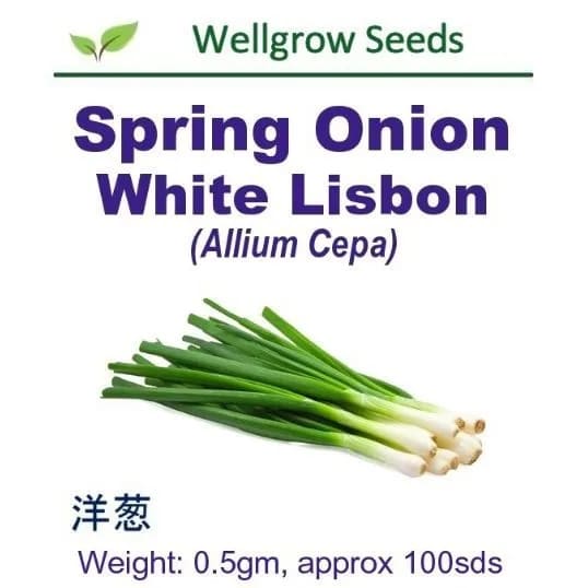 Wellgrow Spring Onion - LGC