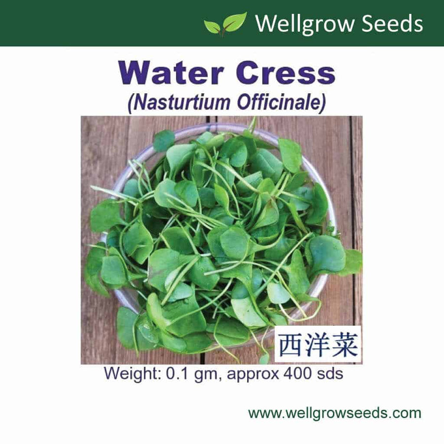 Wellgrow Water Cress Seeds - LGC